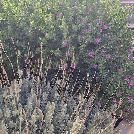 Aelia House - Cozy & Quiet