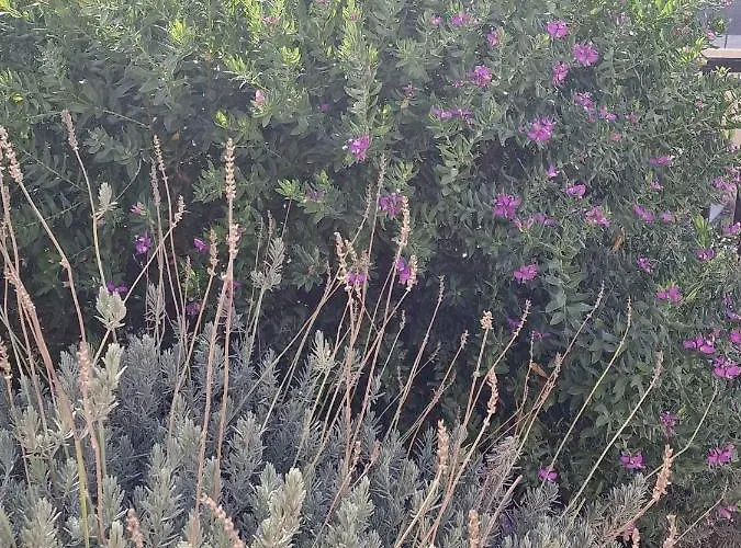 Aelia House - Cozy & Quiet